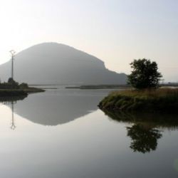 Turismo Ornitológico en Cantabria