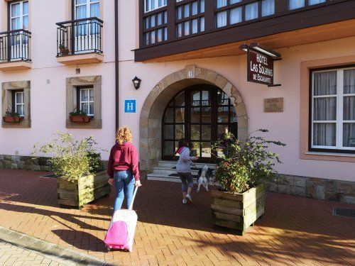 We are a dog friendly hotel