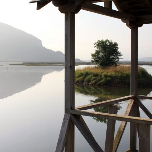 Avistamiento de aves en los humedales de Cantabria