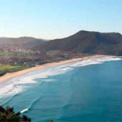 Avistamiento de aves en el Parque Natural de las Marismas