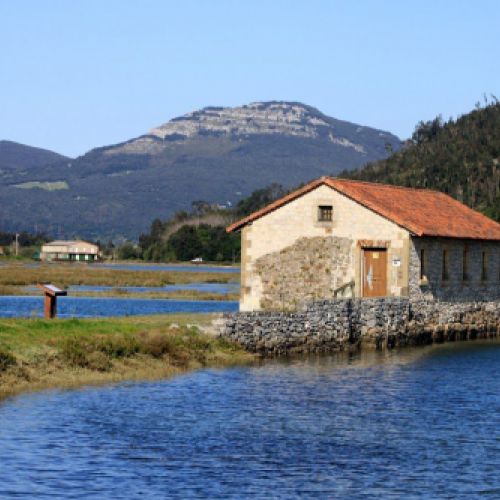 Avistamiento de aves en Cantabria