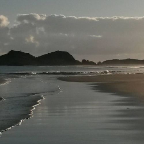 Avistamiento de aves en invierno en Cantabria