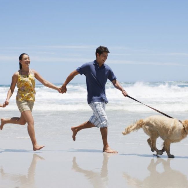 Vacaciones con mascotas en Cantabria