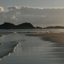 Avistamiento de aves en invierno en Cantabria