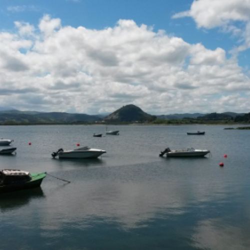 Avistamiento de aves con guía en Cantabria