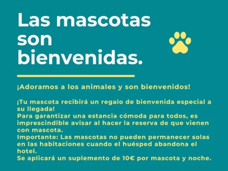 Hotel Las Solanas Escalante: Las Mascotas son Bienvenidas en Cantabria