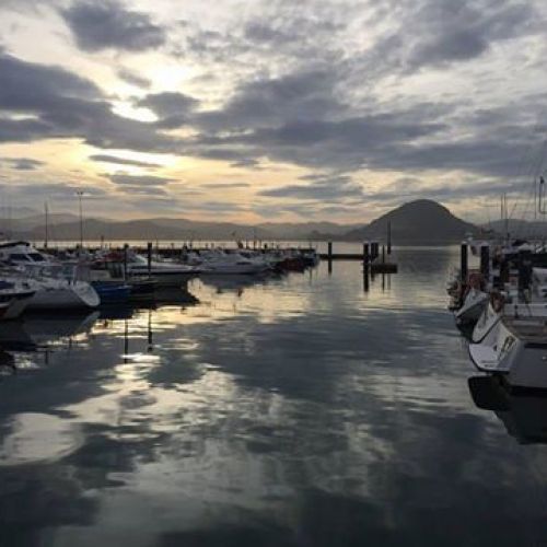 Avistamiento de aves en las marismas de Santoña