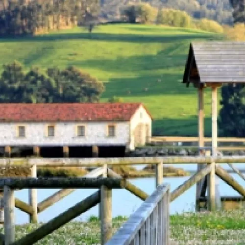 Mirador de las Marismas de Escalante con el Molino de Cerroja al fondo