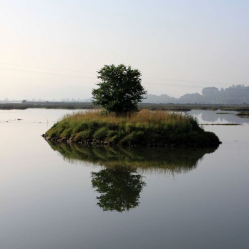 Turismo rural en Cantabria para amantes de la naturaleza