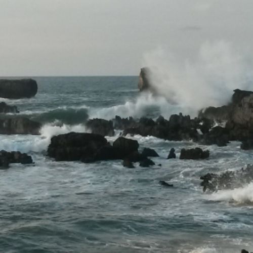 Costa de Noja