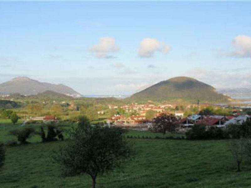 Avistamiento de aves entre bosques y ríos de Cantabria