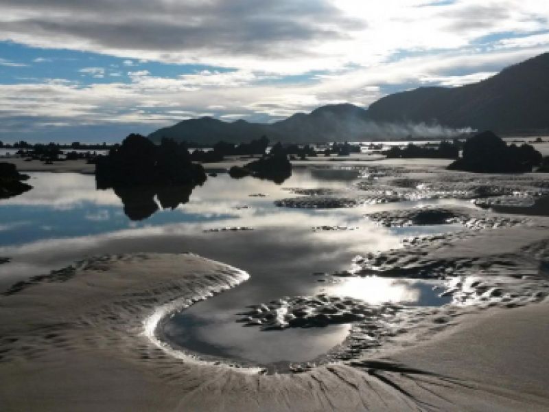 Avistamiento de aves con prismáticos en Cantabria