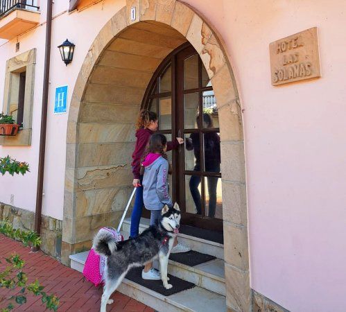 Hotel rural dog frienly en Cantabria
