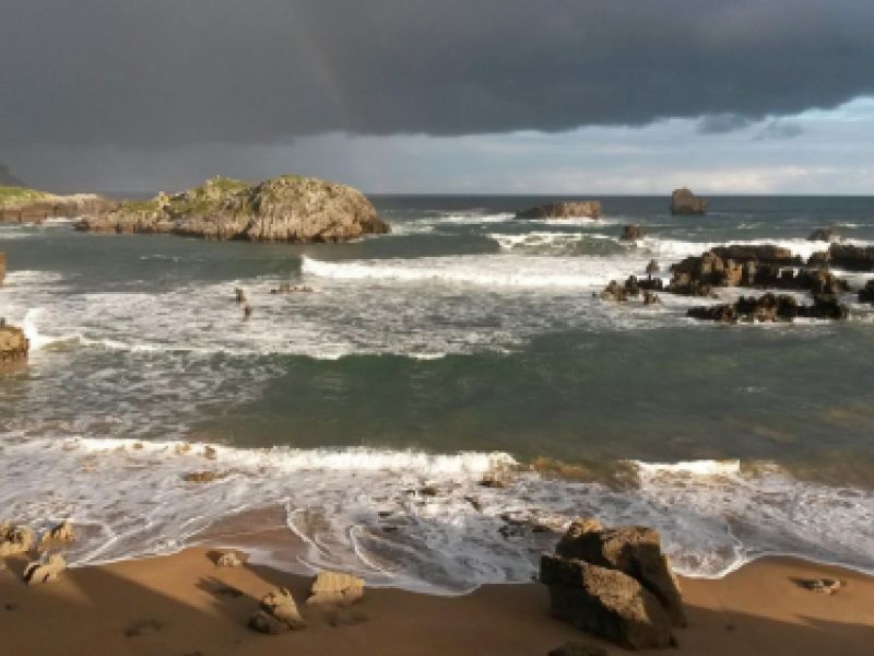 Cantabria, biodiversidad y aves en libertad