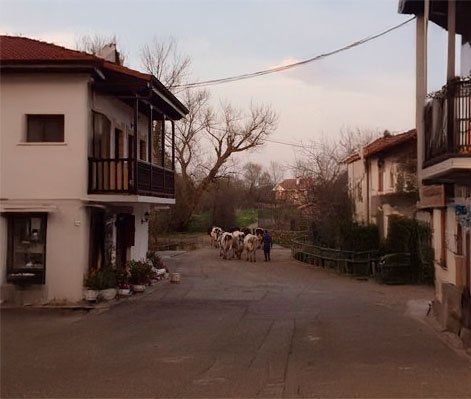Rural Tourism in Cantabria