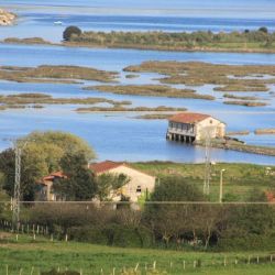 Escapada de avistamiento de aves en Cantabria
