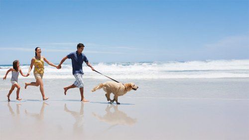 Holidays with pets in Cantabria