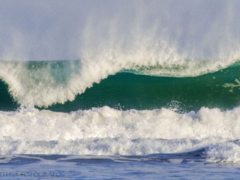 Avistamiento de aves en Escalante y alrededores