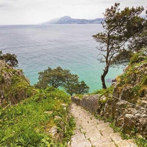 Observación de aves en la costa de Cantabria