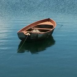 Turismo ornitológico en Cantabria para todos los niveles