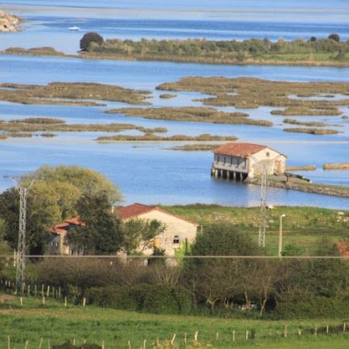Escapada de avistamiento de aves en Cantabria