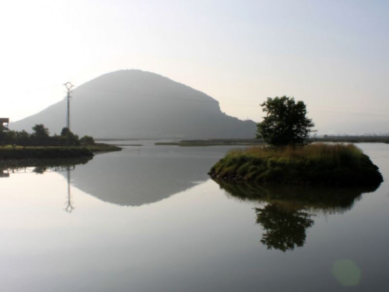 Turismo ornitológico en Cantabria, avistamiento de aves
