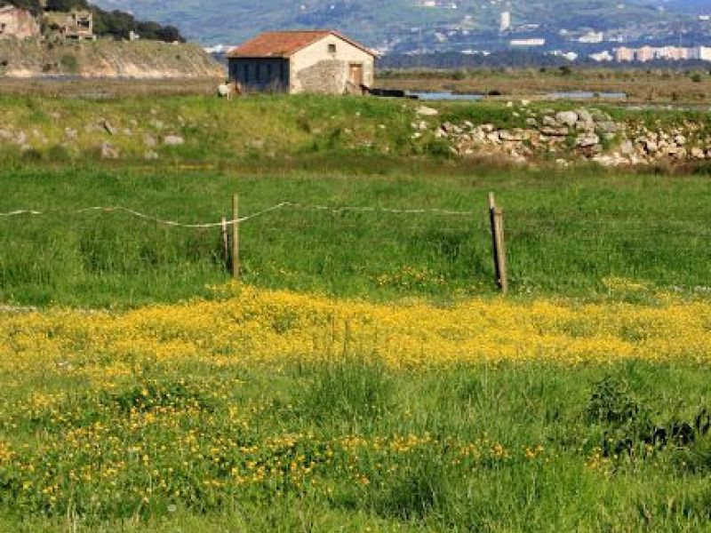 Cantabria, para descubrir aves en libertad