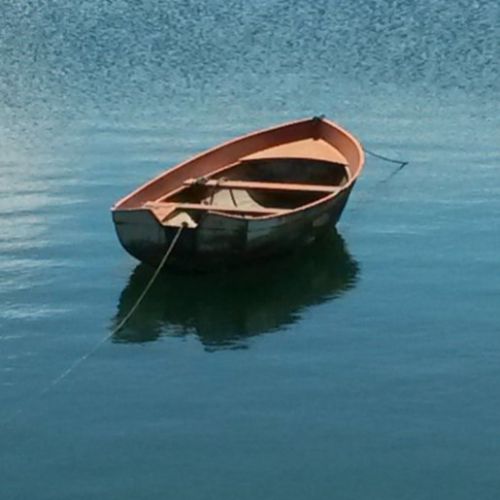 Turismo ornitológico en Cantabria para todos los niveles