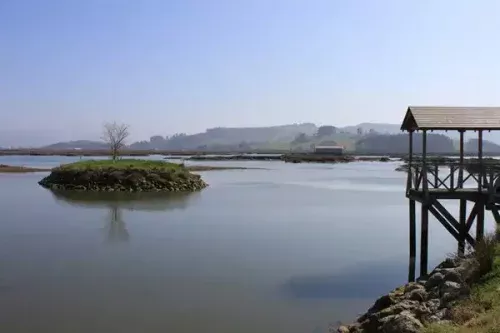 Observatorio de aves migratorias en la Reserva Natural de las Marismas de Santoña