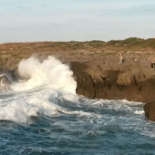Costa de Noja