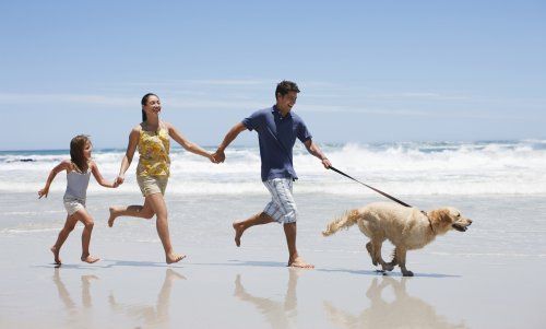 Vacaciones con mascotas en Cantabria