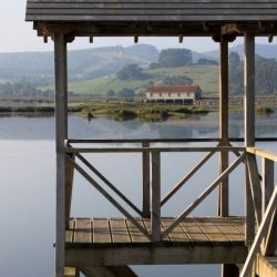 Avistamiento de aves en Cantabria