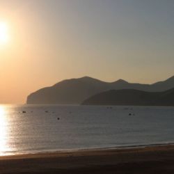 Avistamiento de rapaces en zonas altas de Cantabria