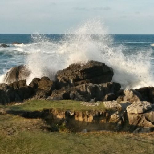 Costa de Noja