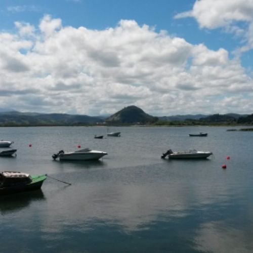 Marismas de Santoña