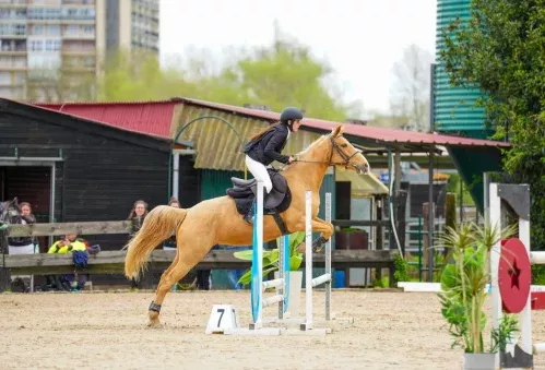 entrenamiento de salto de obstáculos en centro hípico en Laredo Cantabria