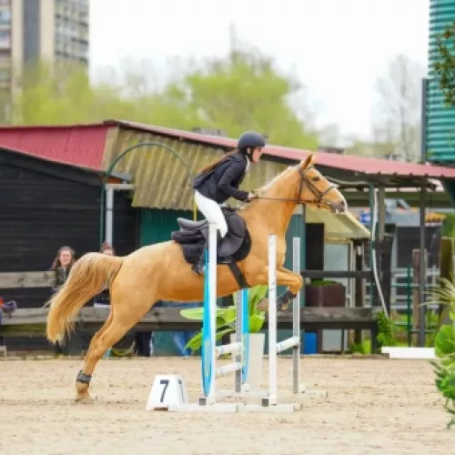 clases de equitación salto Cantabria