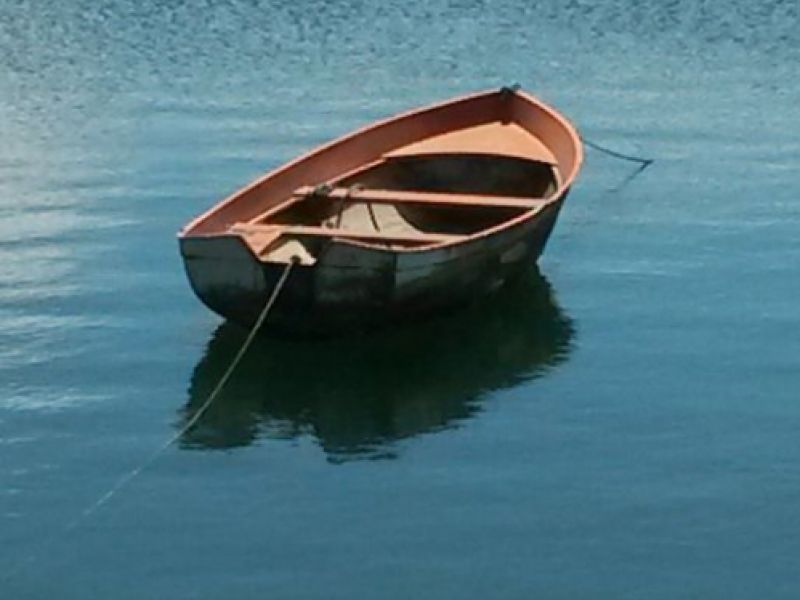 Turismo ornitológico en Cantabria para todos los niveles