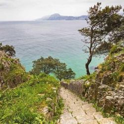 Observación de aves en la costa de Cantabria