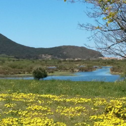 Experiencias de avistamiento de aves en Cantabria