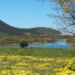 Experiencias de avistamiento de aves en Cantabria
