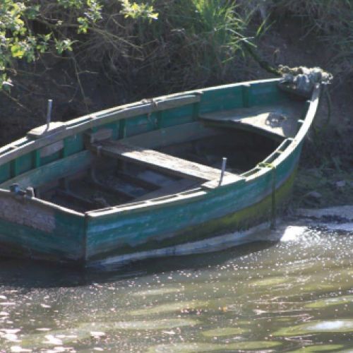 Cantabria: ecosistemas ideales para el avistamiento de aves