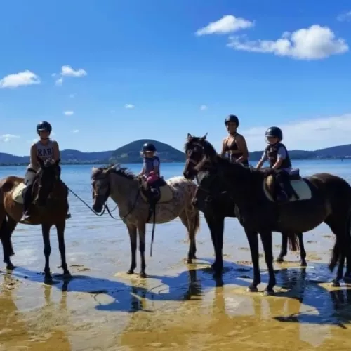 paseo a caballo en Cantabria por la playa de Laredo con grupo