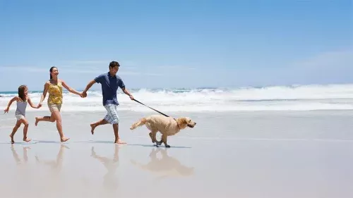 Vacaciones con perro en Cantabria, hotel dog friendly cerca de la playa