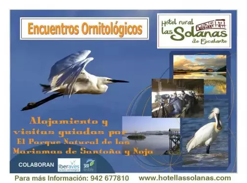 Turismo ornitológico en Cantabria