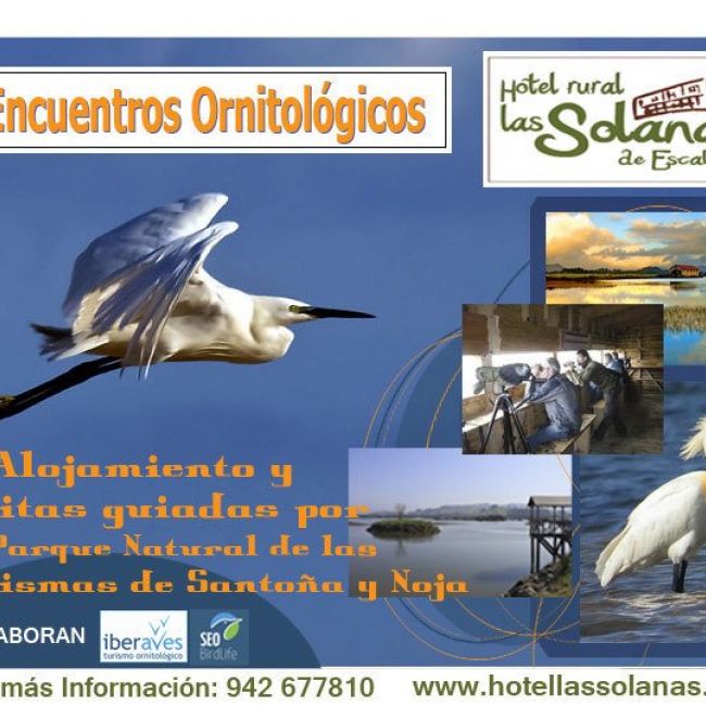 Turismo ornitolgico en Cantabria