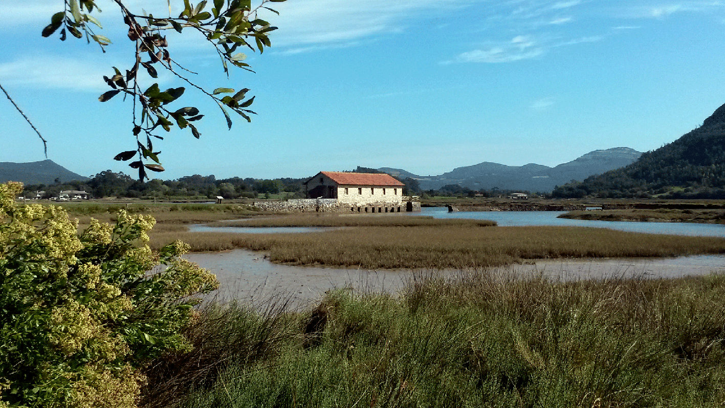 Avistamiento de aves en Cantabria