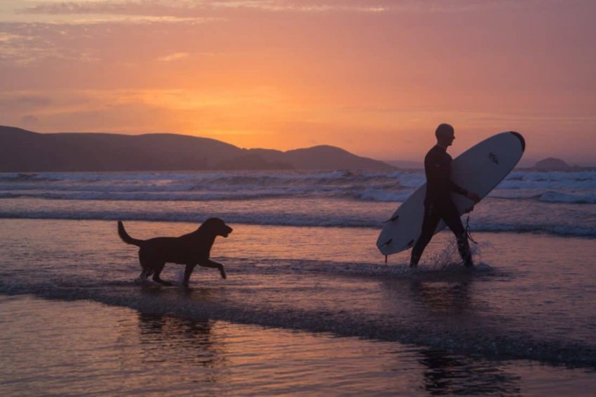 Vacaciones con mascota en Cantabria Cantabria con perros