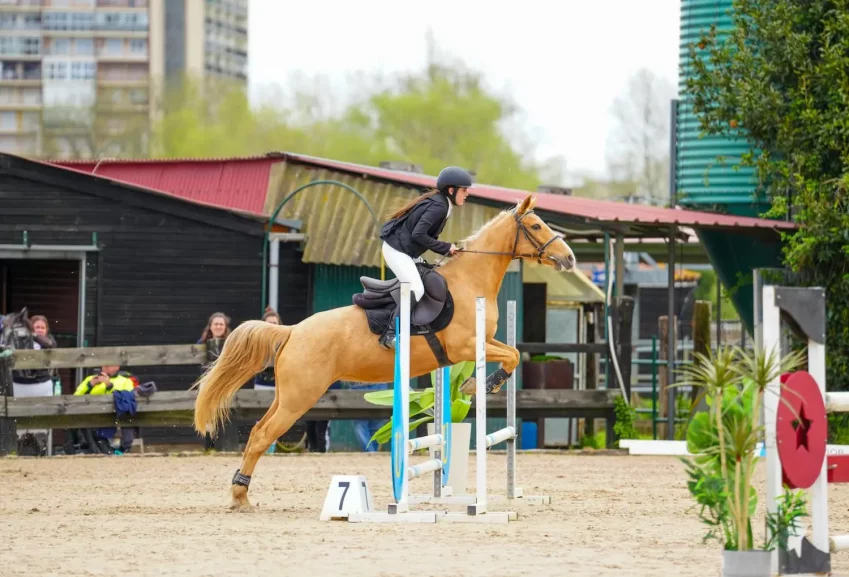show jumping lesson at the equestrian centre in Laredo Cantabria