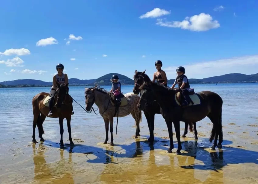 horse riding on the beach in Laredo Cantabria guided group
